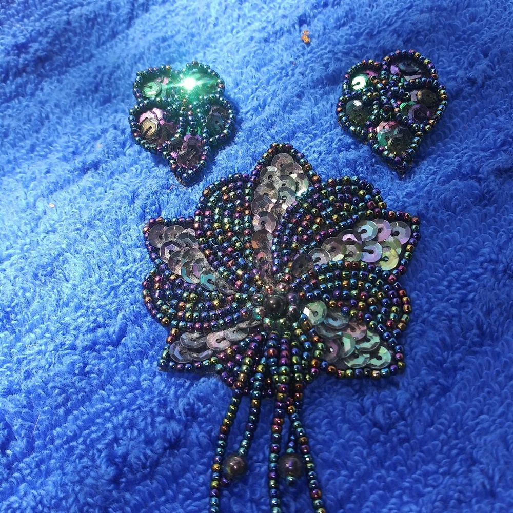 Vintage pin and earrings